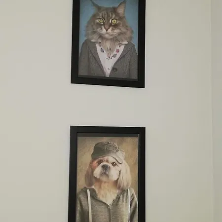 Happiness Apartamento *